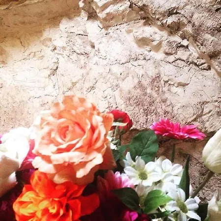 מלון La Rocca 3*