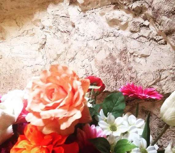 ホテル La Rocca 3*